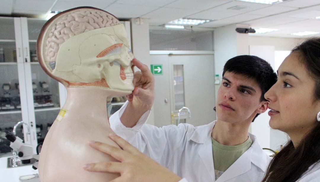 Ciencias Naturales