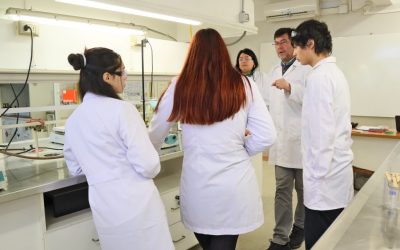 Creación de cristales: Pedagogía en Ciencias Naturales y Biología a través de Red-egresados facilitó taller a estudiantes de enseñanza media