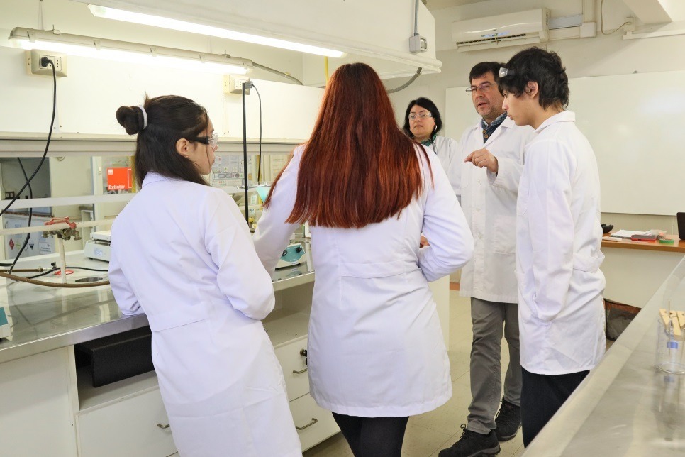 Creación de cristales: Pedagogía en Ciencias Naturales y Biología a través de Red-egresados facilitó taller a estudiantes de enseñanza media