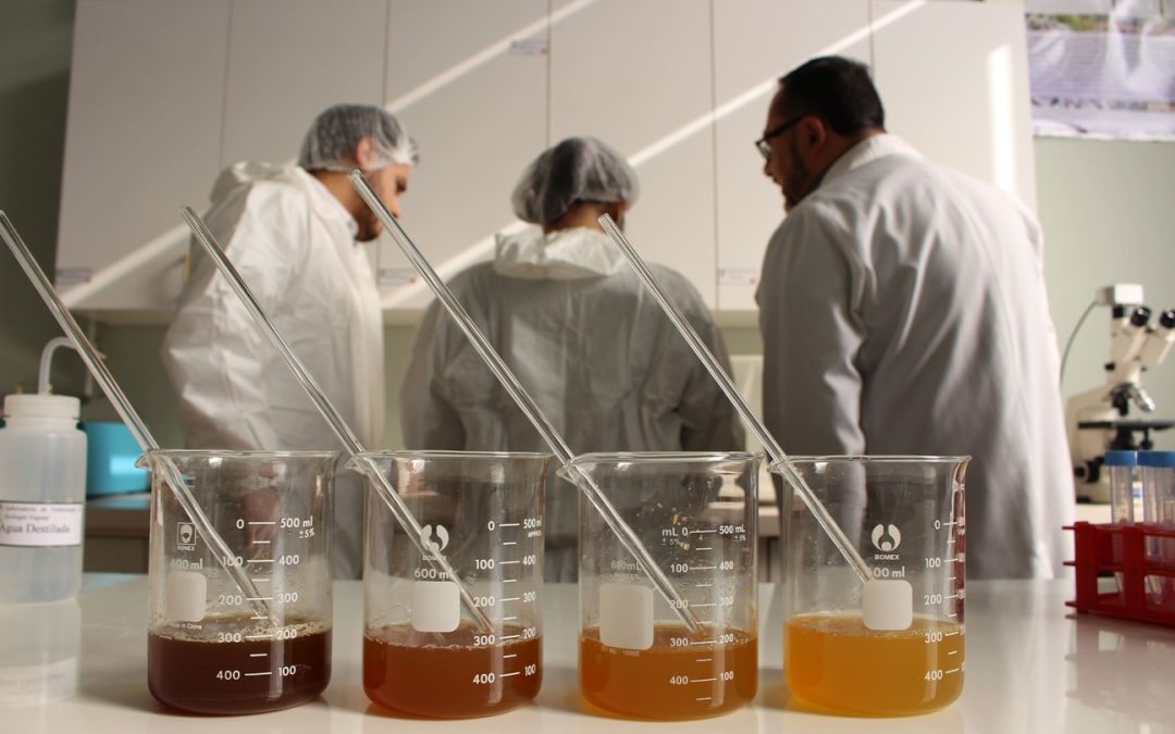Día Nacional de la Miel: El “superalimento” que se analiza y estudia con impacto a nivel país en el Campus Los Ángeles