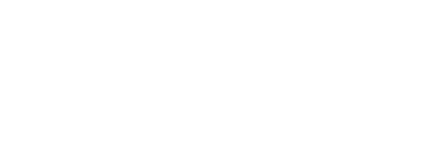 UdeC