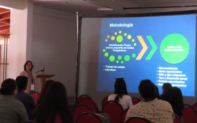 Estudio de sapos y ranas realizado por directora del Campus Los Ángeles llegó hasta el XVI Congreso Chileno de Herpetología