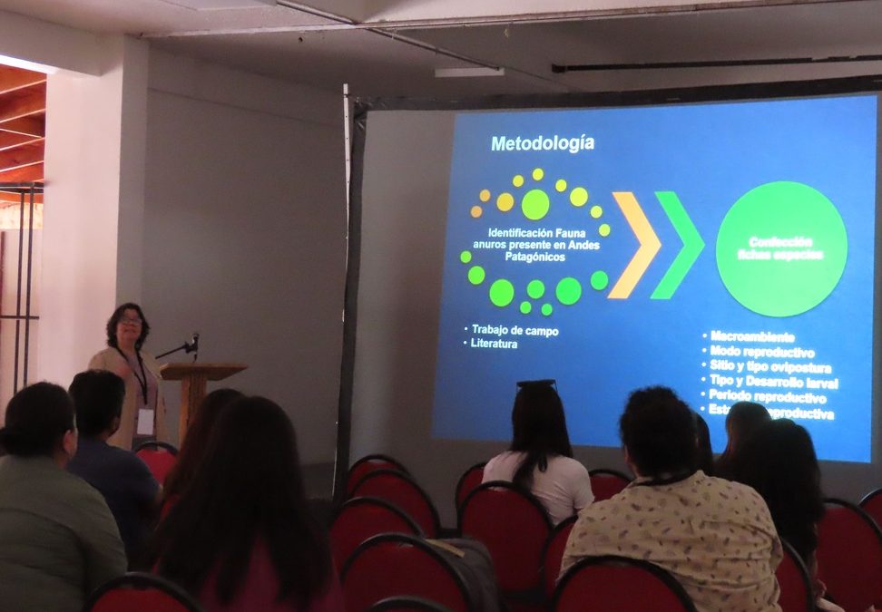 Estudio de sapos y ranas realizado por directora del Campus Los Ángeles llegó hasta el XVI Congreso Chileno de Herpetología