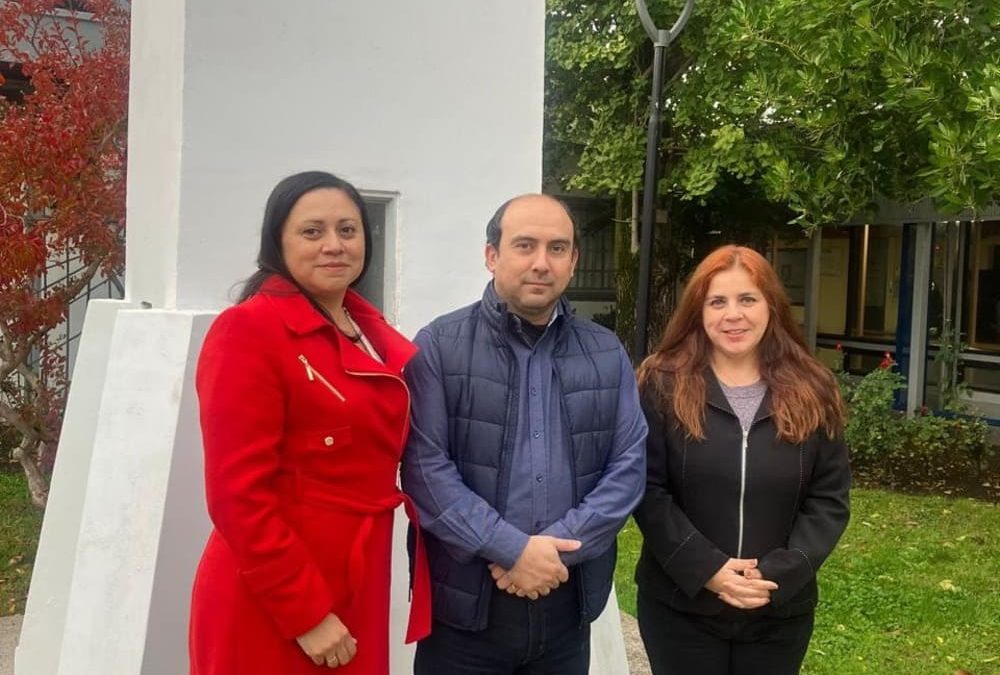Académica del Campus Los Ángeles se adjudicó proyecto VRID Investigadoras 2025 y se ejecutará por dos años